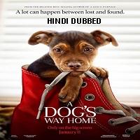 A dog's way home online full movie watch online