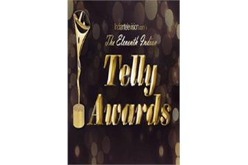 Indian Telly Awards (2012) Watch Full Movie Free Online - HindiMovies.to