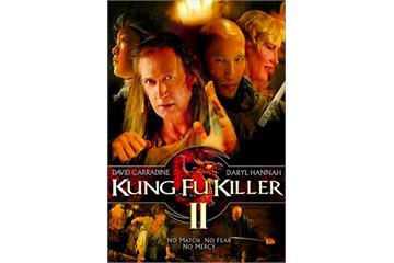 Kung Fu Killer (2008) (In Hindi) Watch Full Movie Free 