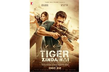 Tiger Zinda Hai (2017) Watch Full Movie Free Online 