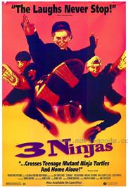 3 Ninjas (1992) (In Hindi)