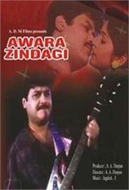 Awara Zindagi (1989)