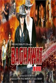 Baghawat The Revolt (2010)