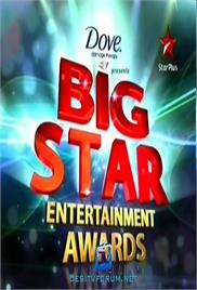 Big Star Entertainment Awards (2010)
