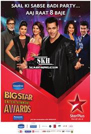 Big Star Entertainment Awards (2014)
