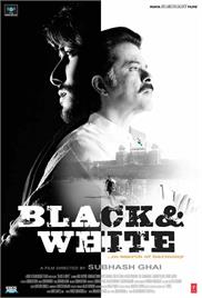 Black And White (2008)