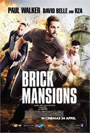 Brick Mansions (2014) (In Hindi)