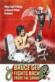 Bruce Lee Fights Back from the Grave (1976) (In Hindi)