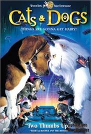 Cats & Dogs (2001) (In Hindi)