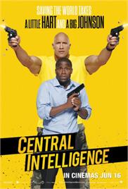 Central Intelligence (2016) (In Hindi)