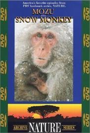 Clever Monkeys by BBC Natural World (2008)