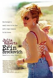 Erin Brockovich (2000) (In Hindi)