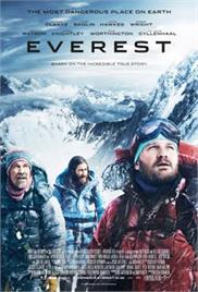 Everest (2015) (In Hindi)