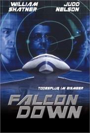 Falcon Down (2001) (In Hindi)