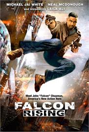 Falcon Rising (2014) (In Hindi)