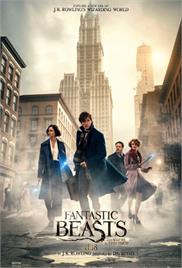 Fantastic Beasts and Where to Find Them (2016) (In Hindi)