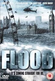 Flood (2007) (In Hindi)