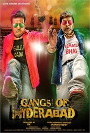 Gangs Of Hyderabad (2015)