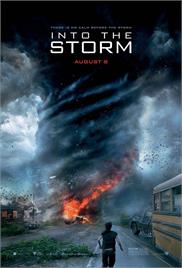 Into the Storm (2014) (In Hindi)