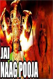 Jai Naag Pooja