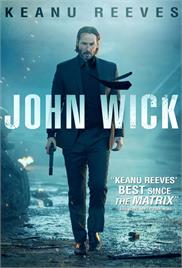 John Wick (2014) (In Hindi)