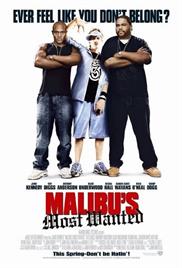 Malibu’s Most Wanted (2003) (In Hindi)