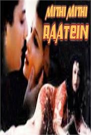 Meethi Meethi Raten (1991)