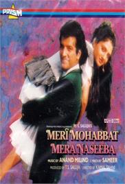 Meri Mohabbat Mera Naseeba (1995)