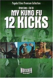 My Kung Fu 12 Kicks (1979) (In Hindi)