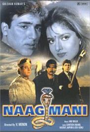 Naagmani (1991)