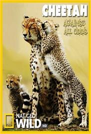 National Geographic – Cheetahs: Against All Odds – Documentary