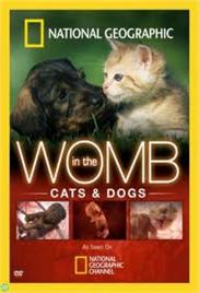 National Geographic – In The Womb – Cats (2009) – Documentary