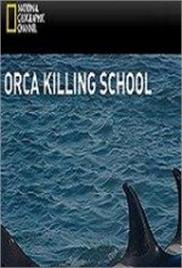 National Geographic – Orca Killing School – Documentary