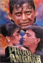 Phool Aur Angaar (1993)