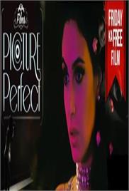 Picture Perfect (2015)