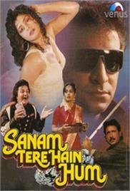Sanam Tere Hain Hum (1992)