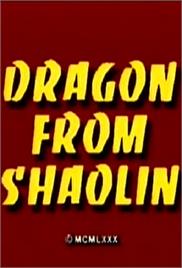 Shaolin Se Aaya Dragon (In Hindi)
