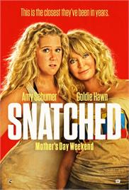 Snatched (2017) (In Hindi)