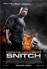 Snitch (2013) (In Hindi)