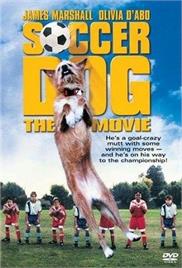 Soccer Dog – The Movie (1999) (In Hindi)