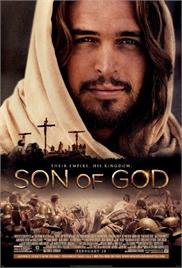 Son of God (2014) (In Hindi)