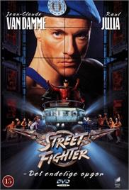 Street Fighter (1994) (In Hindi)