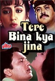 Tere Bina Kya Jeena (1989)