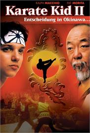The Karate Kid, Part II (1986) (In Hindi)
