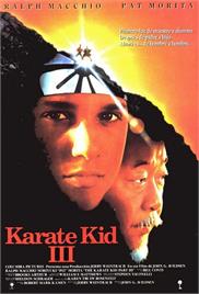 The Karate Kid, Part III (1989) (In Hindi)