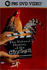 The Natural History of the Chicken (2000) – Documentary