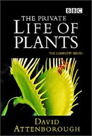 The Private Life of Plants (1995) – Documentary