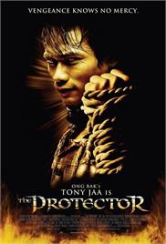The Protector (2005) (In Hindi)