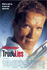 True Lies (1994) (In Hindi)