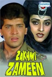 Zakhmi Zameen (1990)